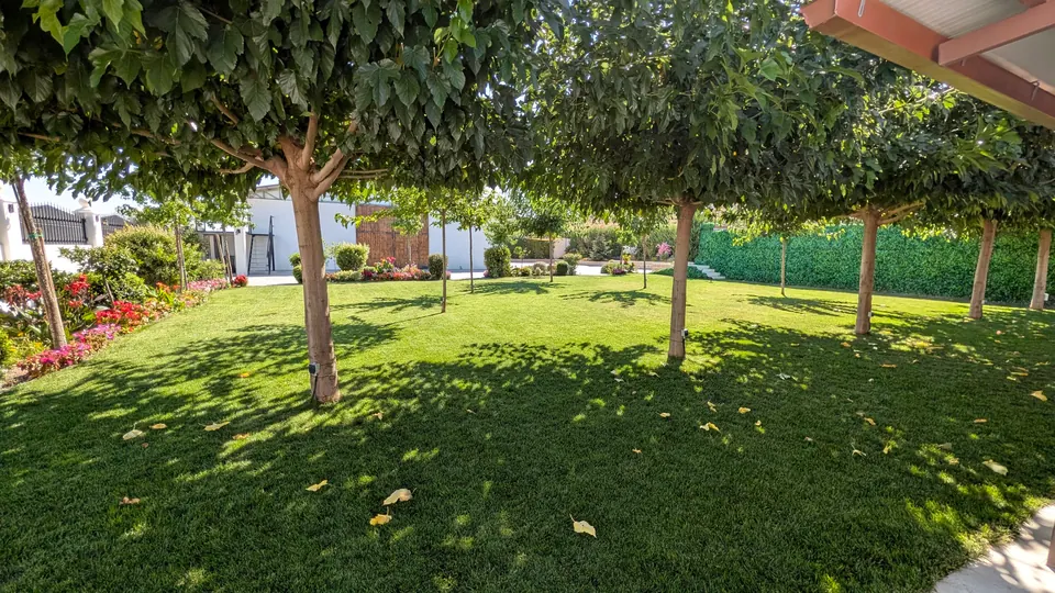La sombra de la arboleda sobre el césped del jardín