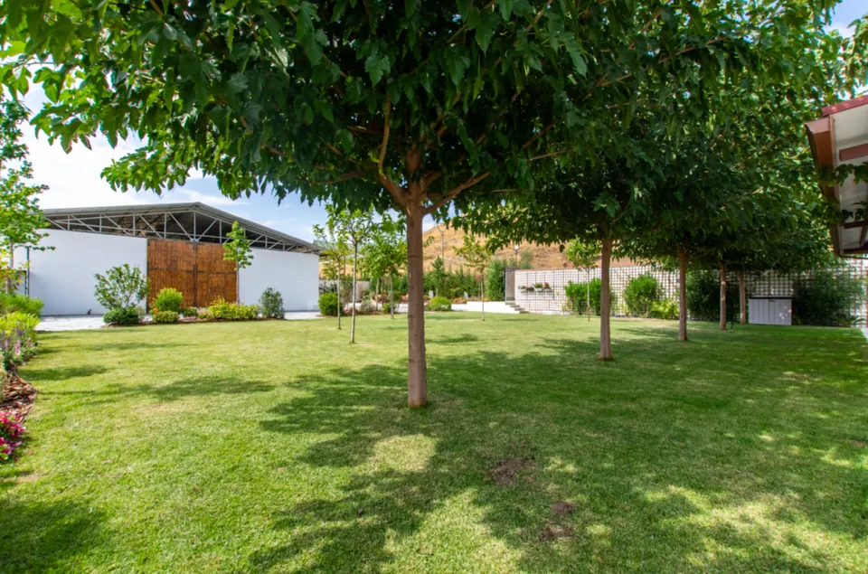 La sombra fresca bajo los árboles del jardín